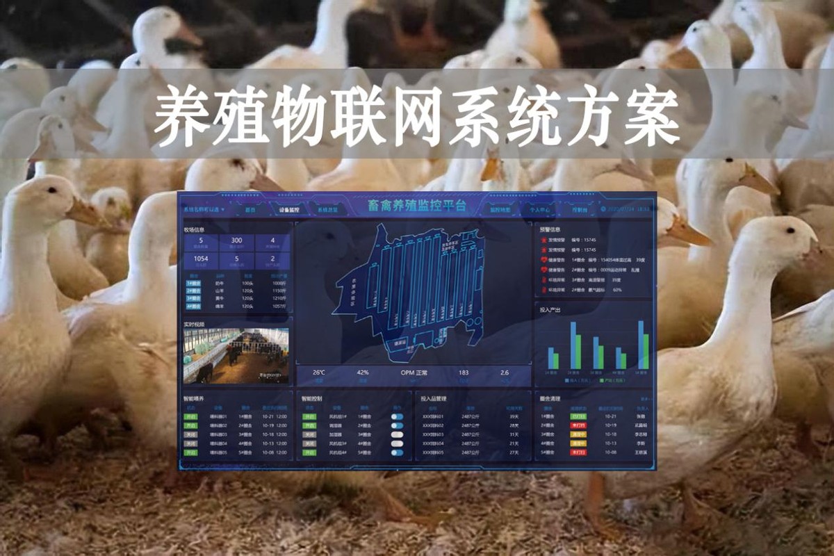 【智慧養(yǎng)殖】數(shù)字經(jīng)濟(jì)時代到來，養(yǎng)殖物聯(lián)網(wǎng)系統(tǒng)方案來了