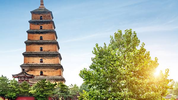 使用可持續(xù)建筑技術(shù)推動變革