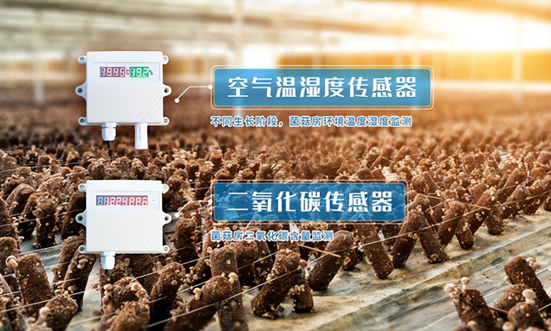 空氣溫濕度傳感器、二氧化碳傳感器