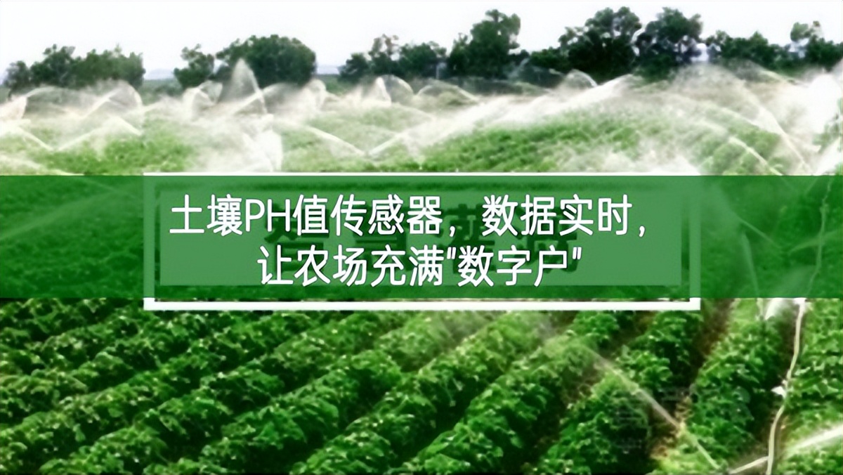 土壤PH值傳感器，數據實時，讓農場充滿"數字戶"