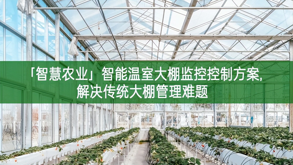 「智慧農業」智能溫室大棚監控控制方案,解決傳統大棚管理難題