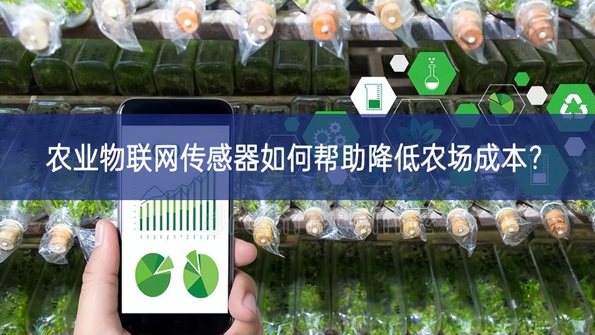農(nóng)業(yè)物聯(lián)網(wǎng)傳感器如何幫助降低農(nóng)場成本？