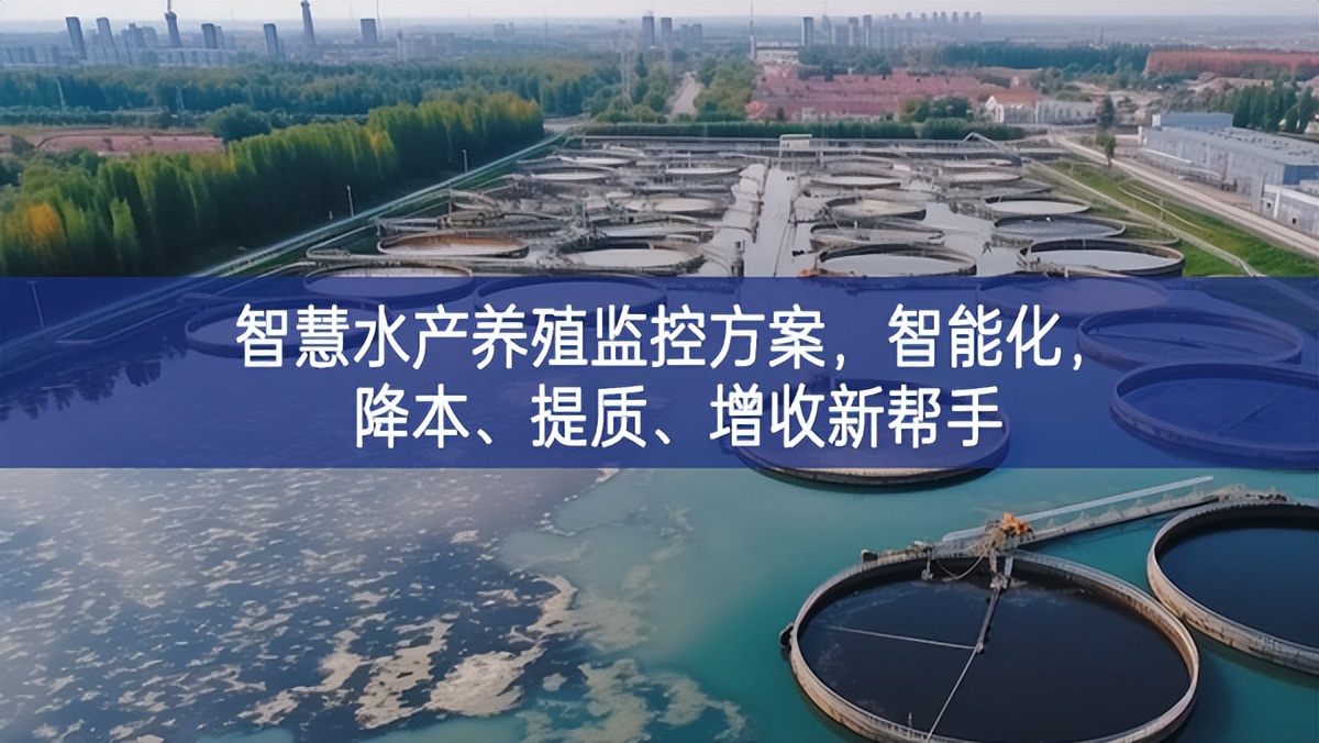 智慧水產養殖監控方案，智能化，降本、提質、增收新幫手