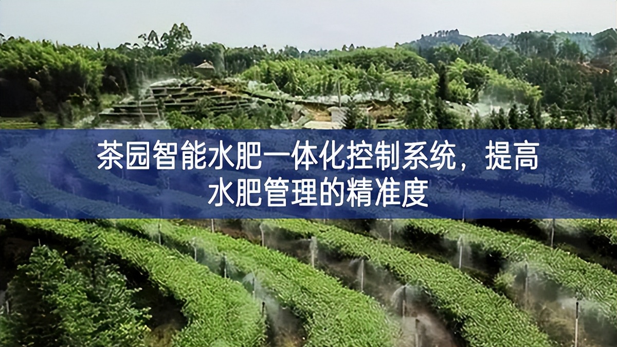 茶園智能水肥一體化控制系統，提高水肥管理的精準度