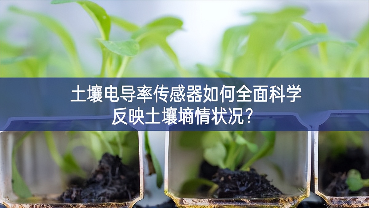 土壤電導率傳感器如何全面科學反映土壤墑情狀況？