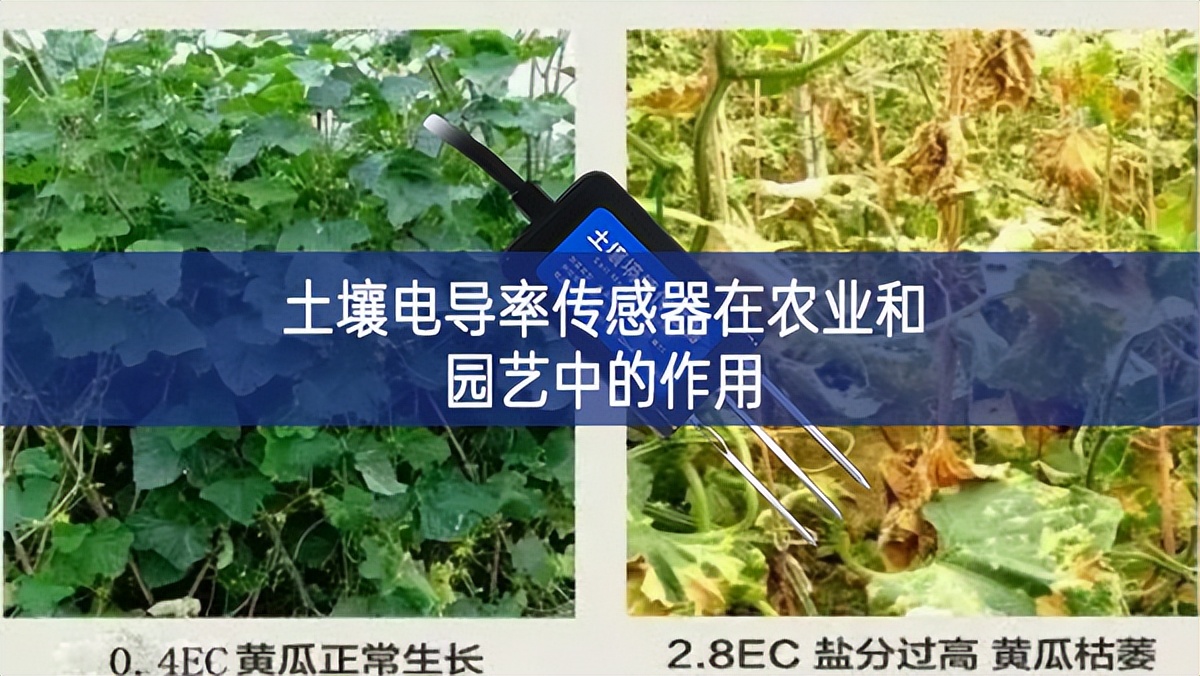 土壤電導率傳感器在農(nóng)業(yè)和園藝中的作用