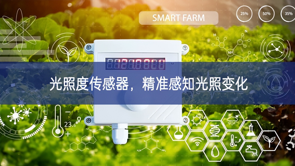 光照度傳感器，精準感知光照變化