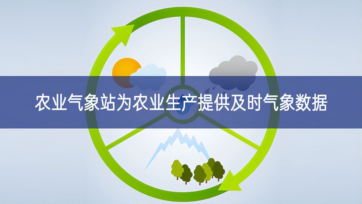 農業氣象站為農業生產提供及時氣象數據