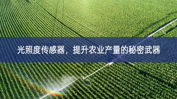 光照度傳感器，提升農業產量的秘密武器