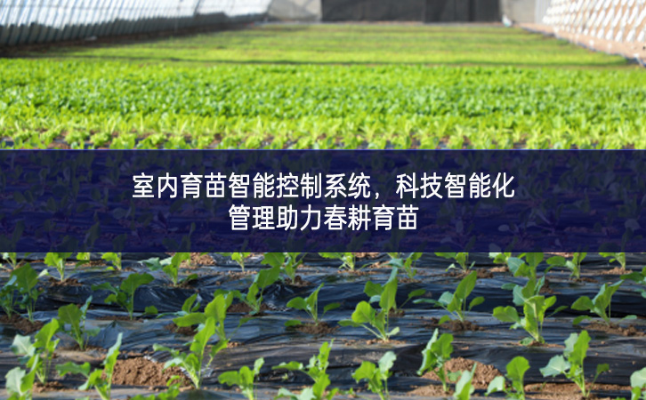 室內(nèi)育苗智能控制系統(tǒng)，科技智能化管理助力春耕育苗