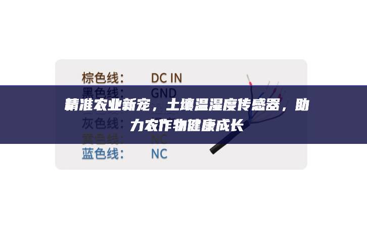 精準(zhǔn)農(nóng)業(yè)新寵，土壤溫濕度傳感器，助力農(nóng)作物健康成長