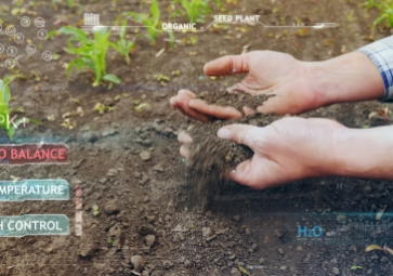 「物聯(lián)網(wǎng)」溫濕度傳感器在智慧農(nóng)業(yè)中起到什么樣的作用？