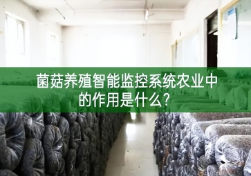「智慧養殖」菌菇養殖智能監控系統在農業中的作用是什么？