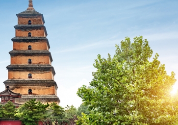 使用可持續(xù)建筑技術推動變革