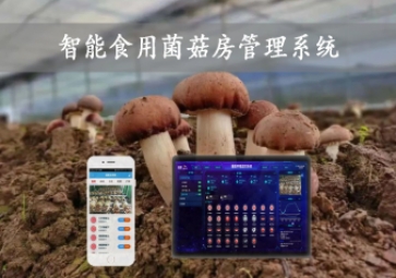  智能食用菌菇房管理系統，物聯網方案應用，打造菌菇種植工廠