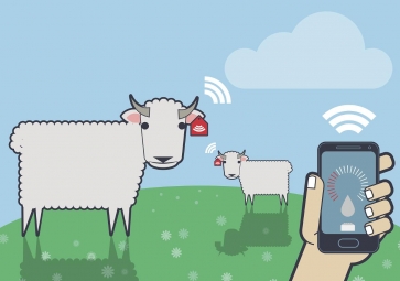 物聯網如何保證食品安全？