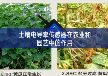 土壤電導率傳感器在農業和園藝中的作用