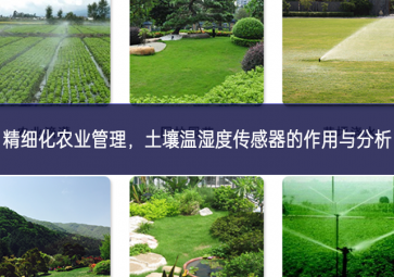 精細化農業管理，土壤溫濕度傳感器的作用與分析